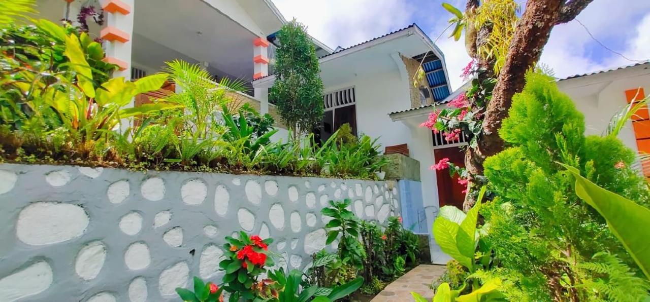 Bintang Bungalow Tour & Travel Kelimutu Exterior photo